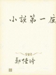 小说第一庶女