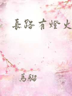 长路有灯火