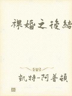 裸婚之后结局