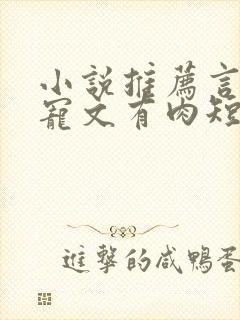 小说推荐言情甜宠文有肉短篇完结