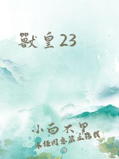 兽皇23