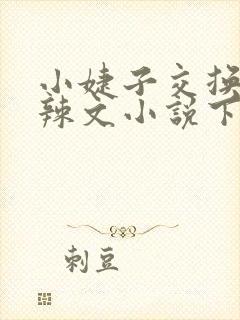 小婕子交换系列辣文小说下载