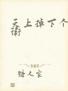 天上掉下个影卫卫