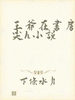 王爷在书房含乳尖h小说