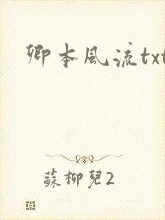 卿本风流txt