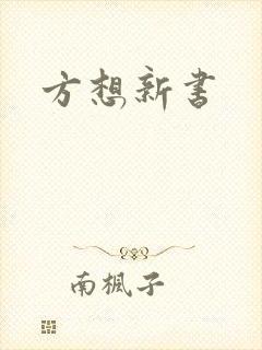 方想新书