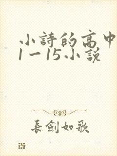 小诗的高中日记1一15小说