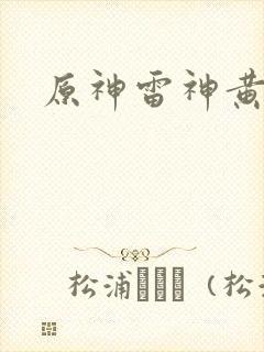 原神雷神黄本本