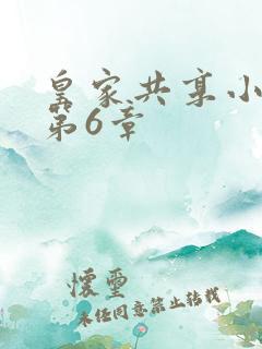 皇家共享小公主第6章