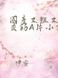 国产又粗又黄又爽的A片小说