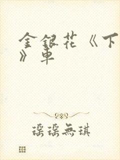 金银花《下厨房》车