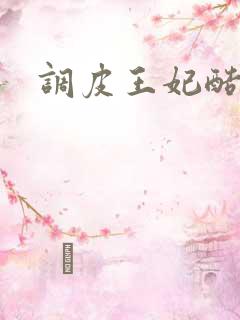 调皮王妃酷王爷