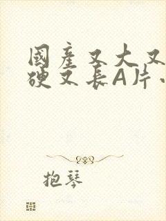 国产又大又粗又硬又长A片小说