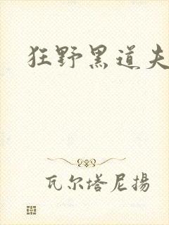 狂野黑道夫