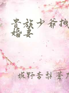 贵族少爷拽拽未婚妻