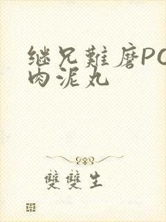 继兄难磨PO猪肉泥丸