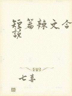 短篇辣文合集小说