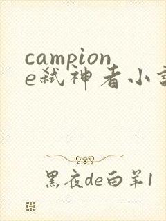 campione弑神者小说