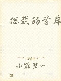 总裁的首席保姆