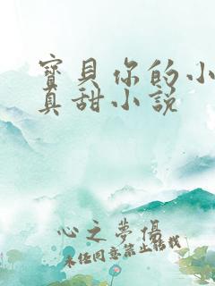 宝贝你的小花园真甜小说