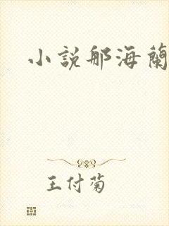 小说那海兰珠