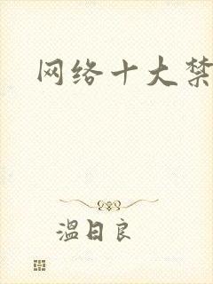 网络十大禁书