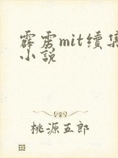霹雳mit续集小说