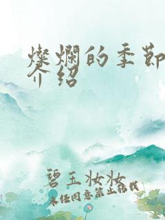 灿烂的季节剧情介绍