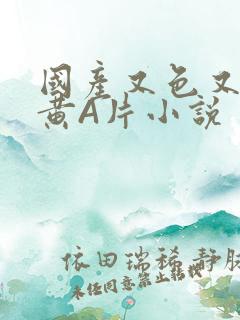 国产又色又爽又黄A片小说