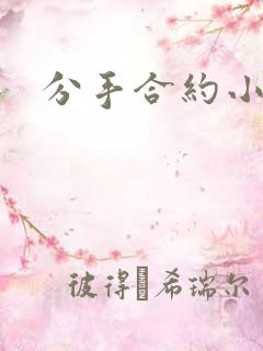 分手合约小说