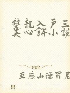 双龙入户三人行夹心饼小说