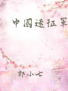 中国远征军小说
