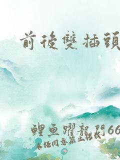 前后双插头互攻