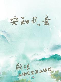 安知我意
