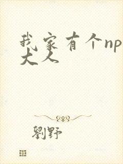我家有个npc大人