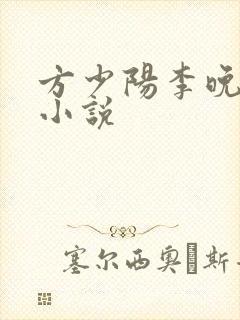 方少阳李晚晴的小说