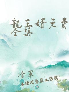 龙王婿免费完结全集