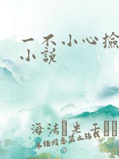 一不小心捡到爱小说