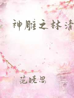 神雕之林清传