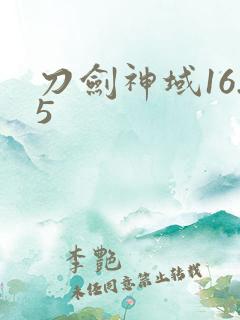 刀剑神域16.5