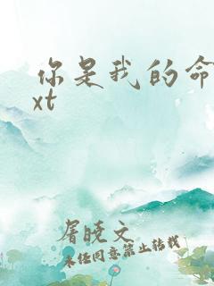 你是我的命运txt