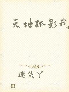 天地孤影我独行