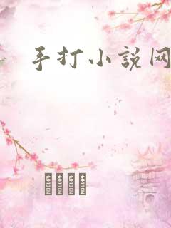 手打小说网