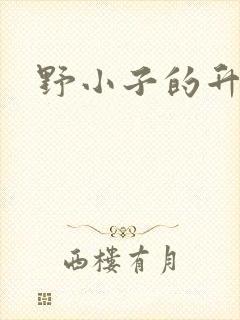 野小子的升官路