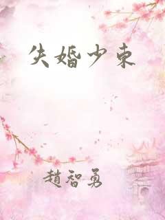 失婚少东