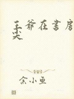 王爷在书房含乳尖