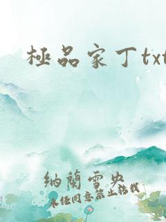 极品家丁txt