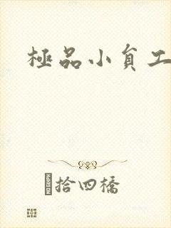 极品小员工