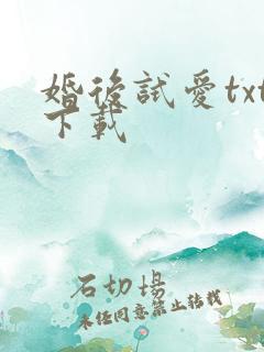 婚后试爱txt下载