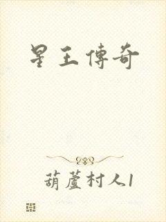 星王传奇